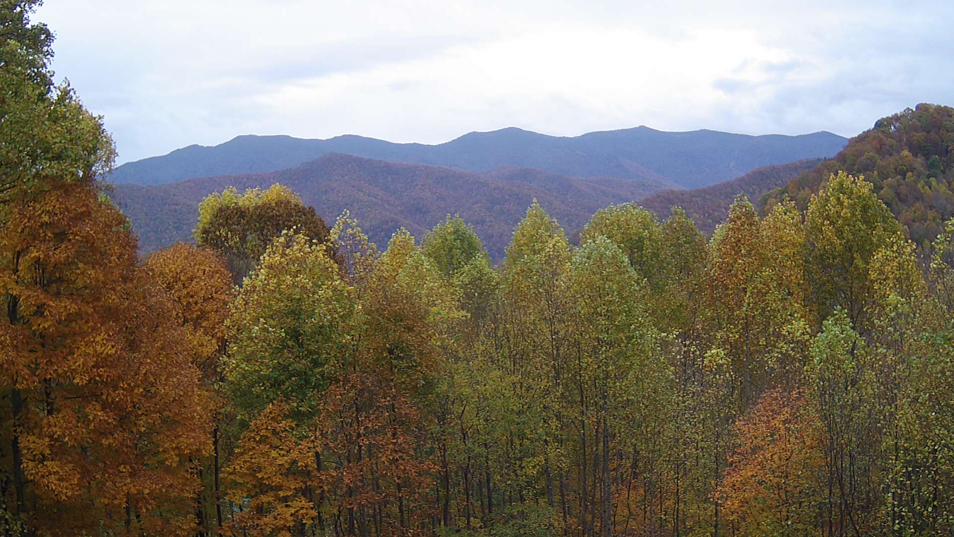 click for next image... slideshow image