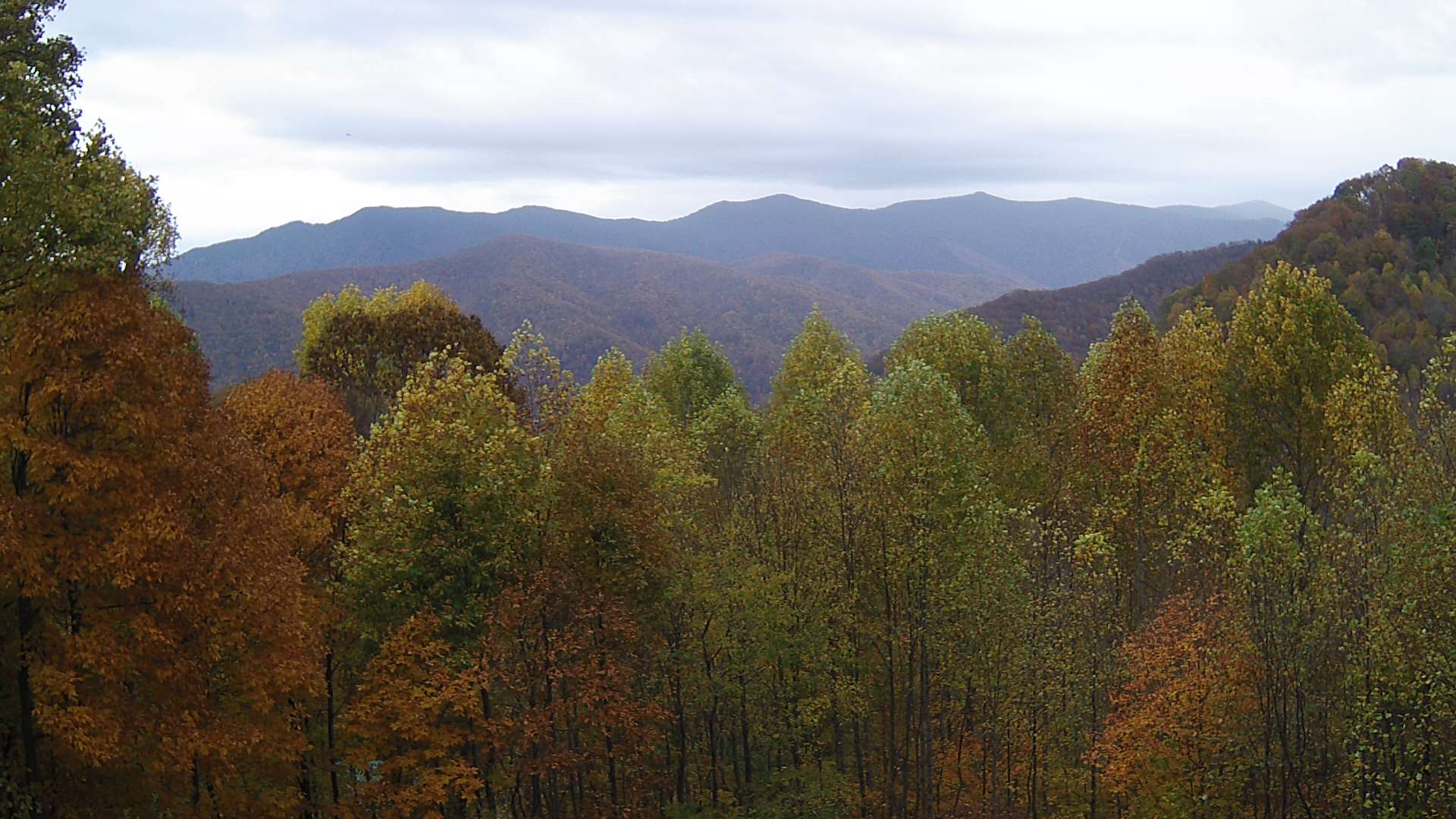 click for next image... slideshow image