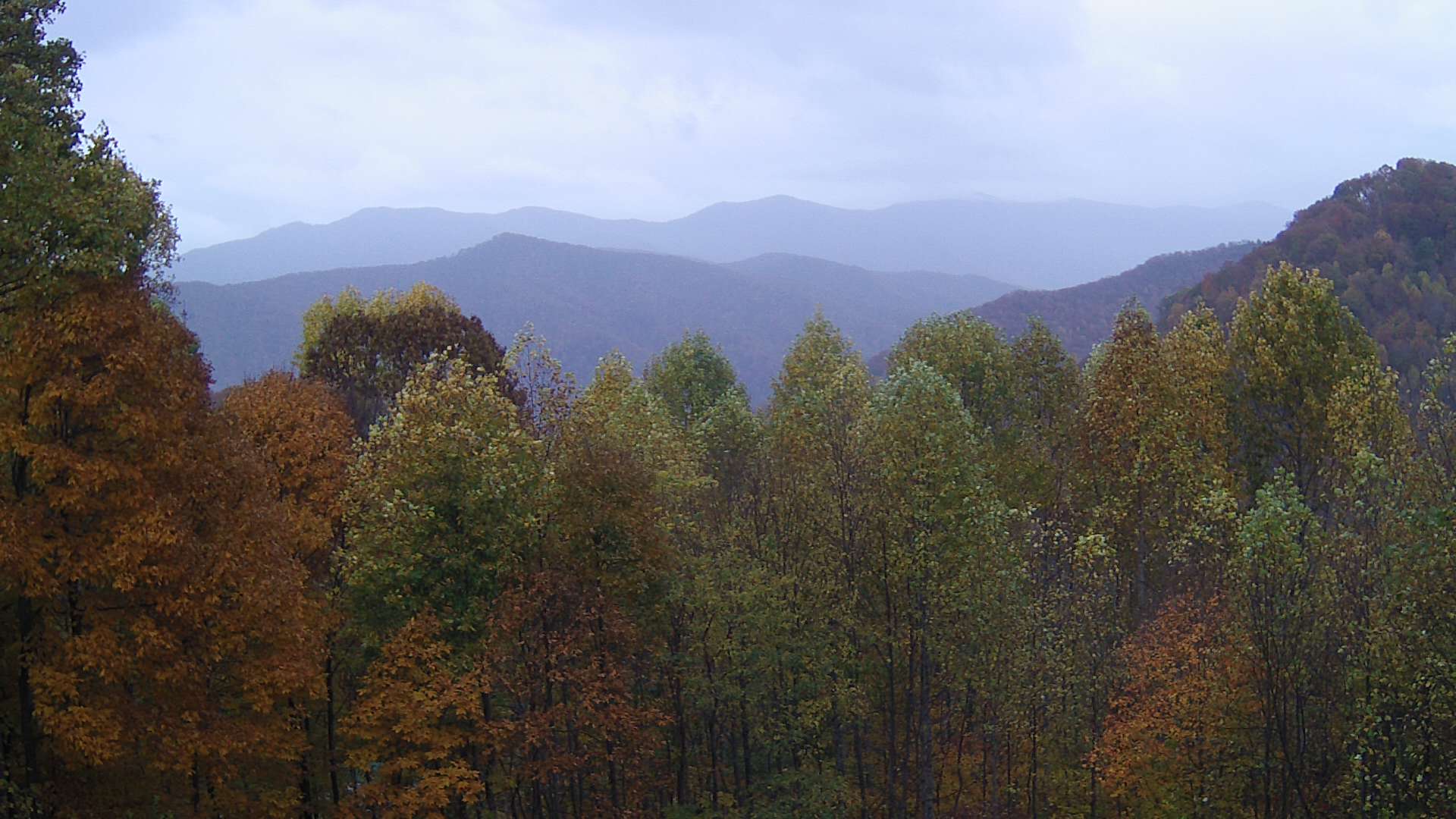 click for next image... slideshow image