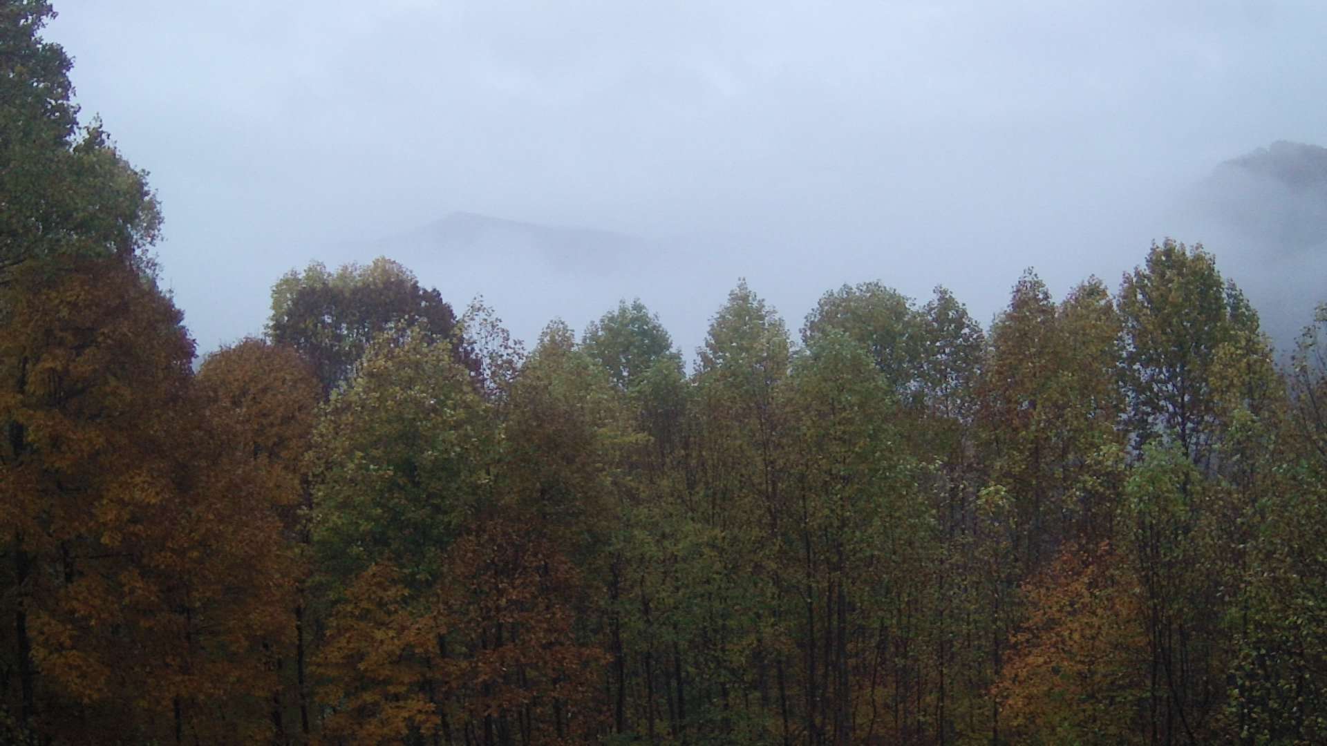 click for next image... slideshow image