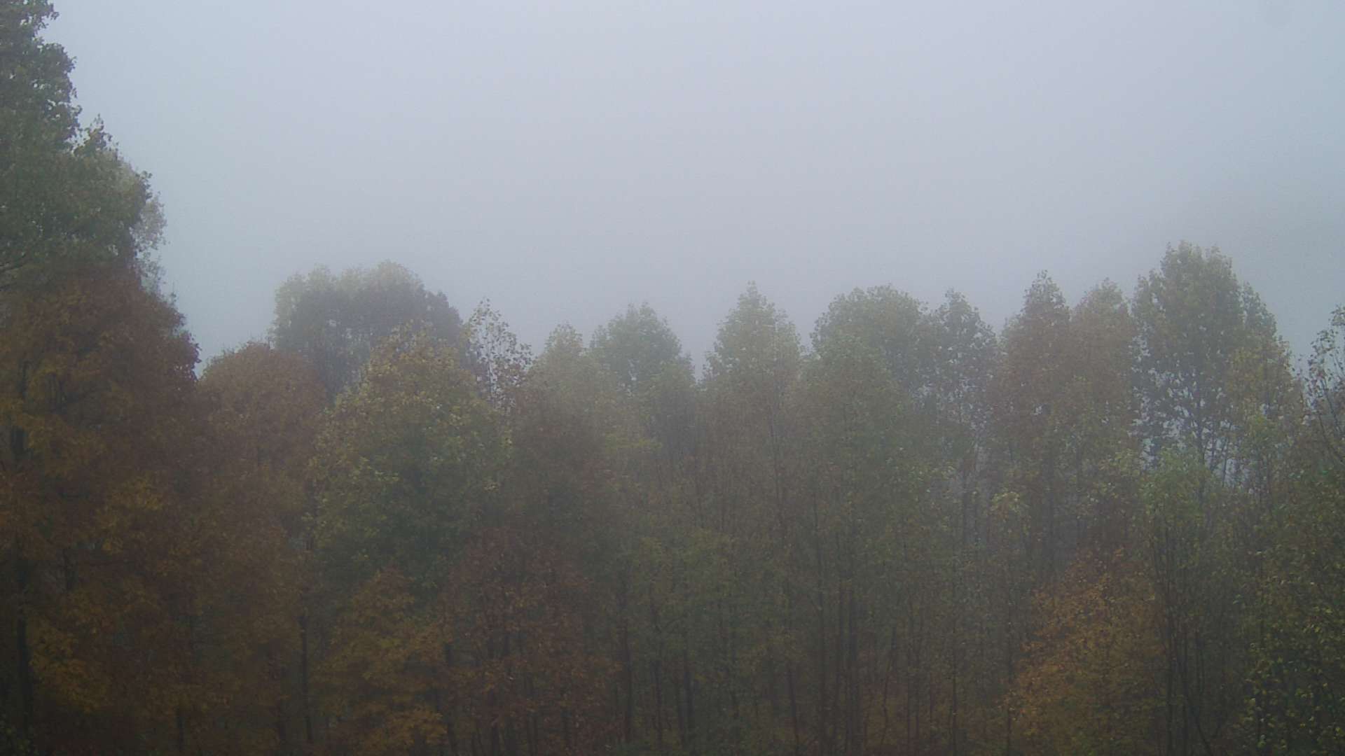 click for next image... slideshow image