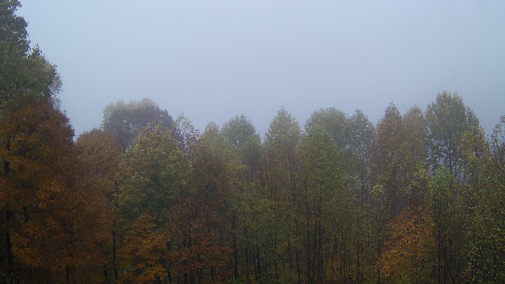 click for next image... slideshow image