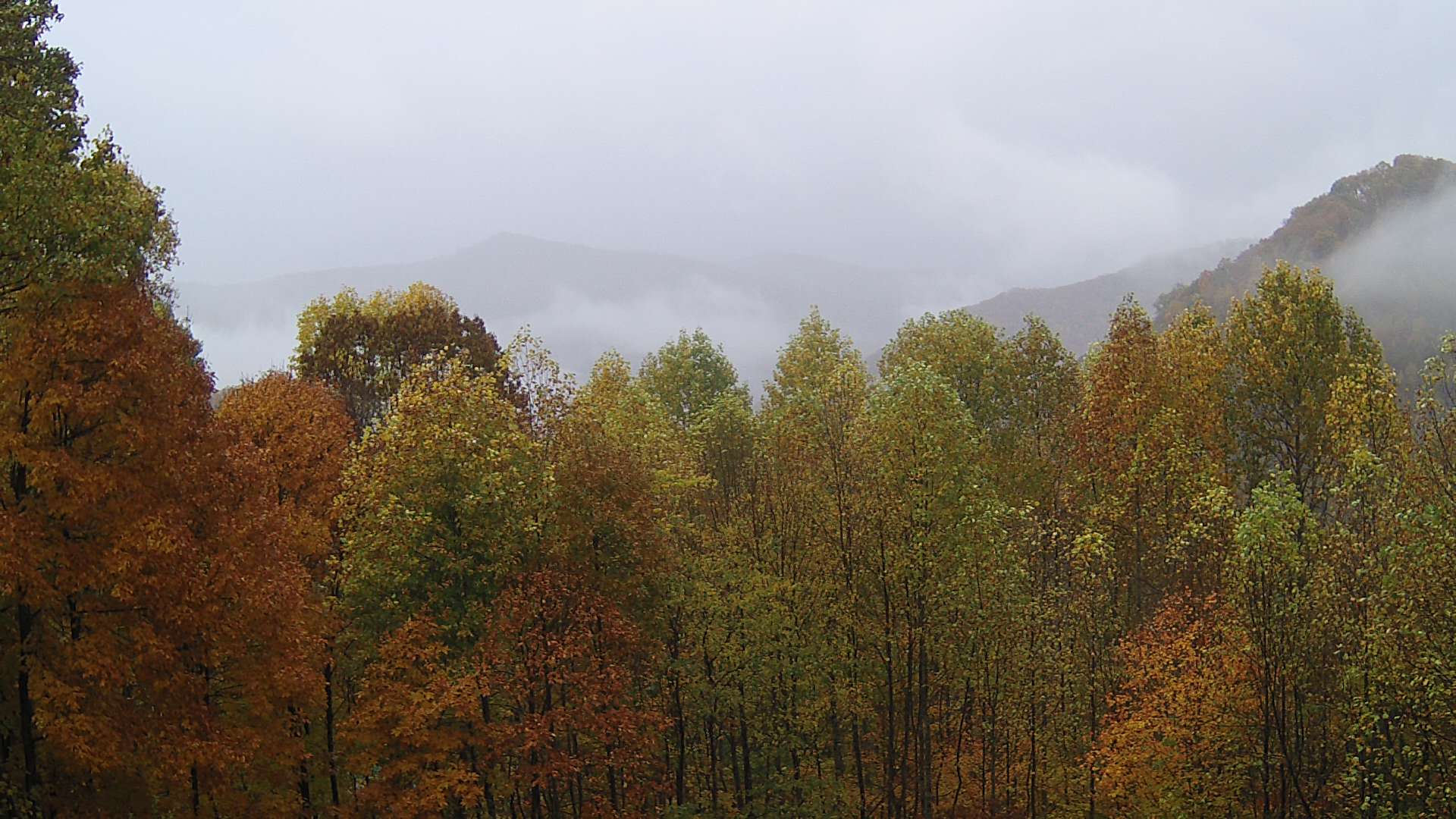 click for next image... slideshow image