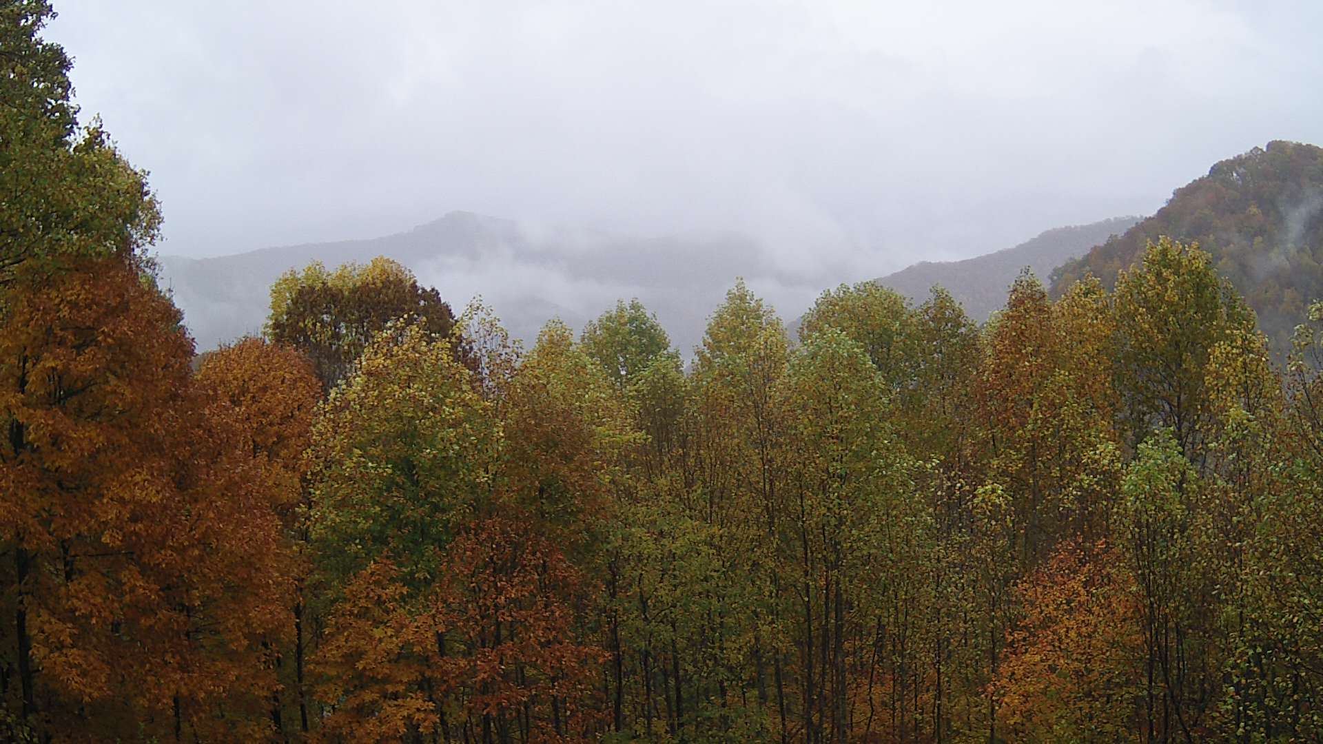 click for next image... slideshow image