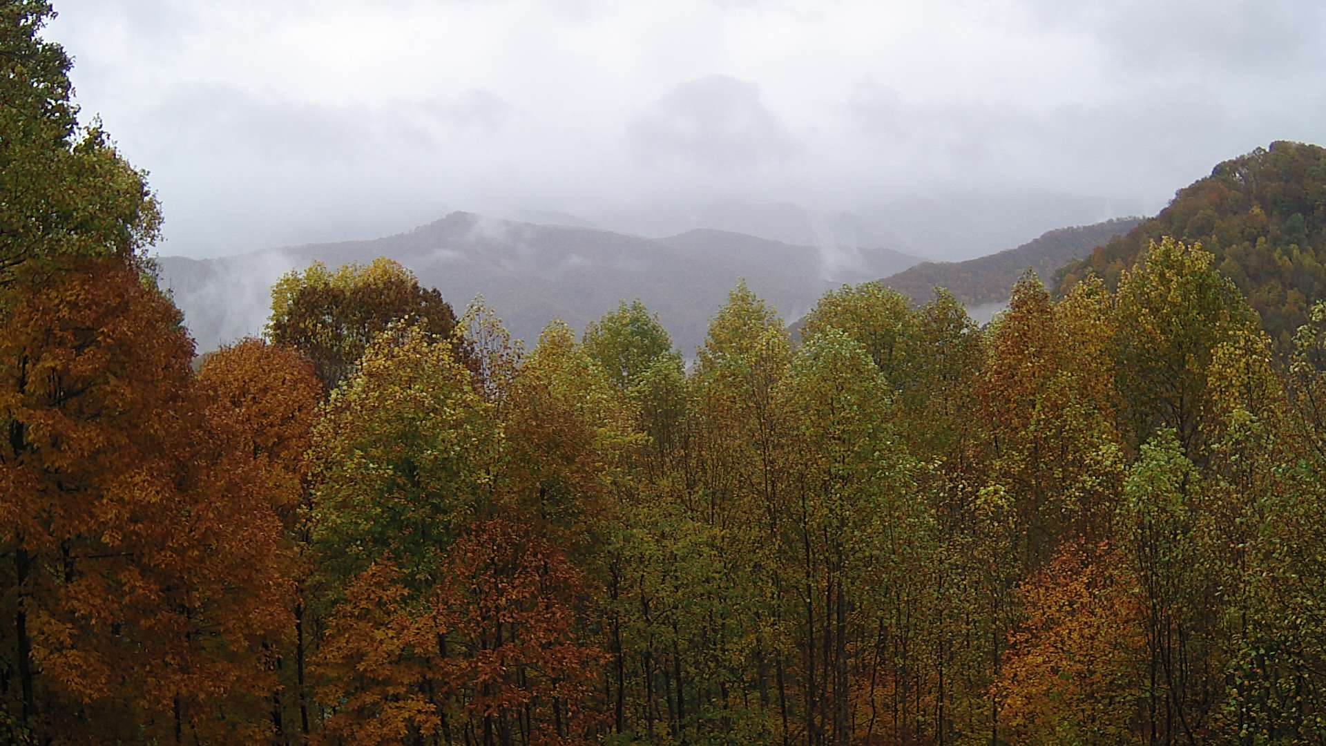 click for next image... slideshow image