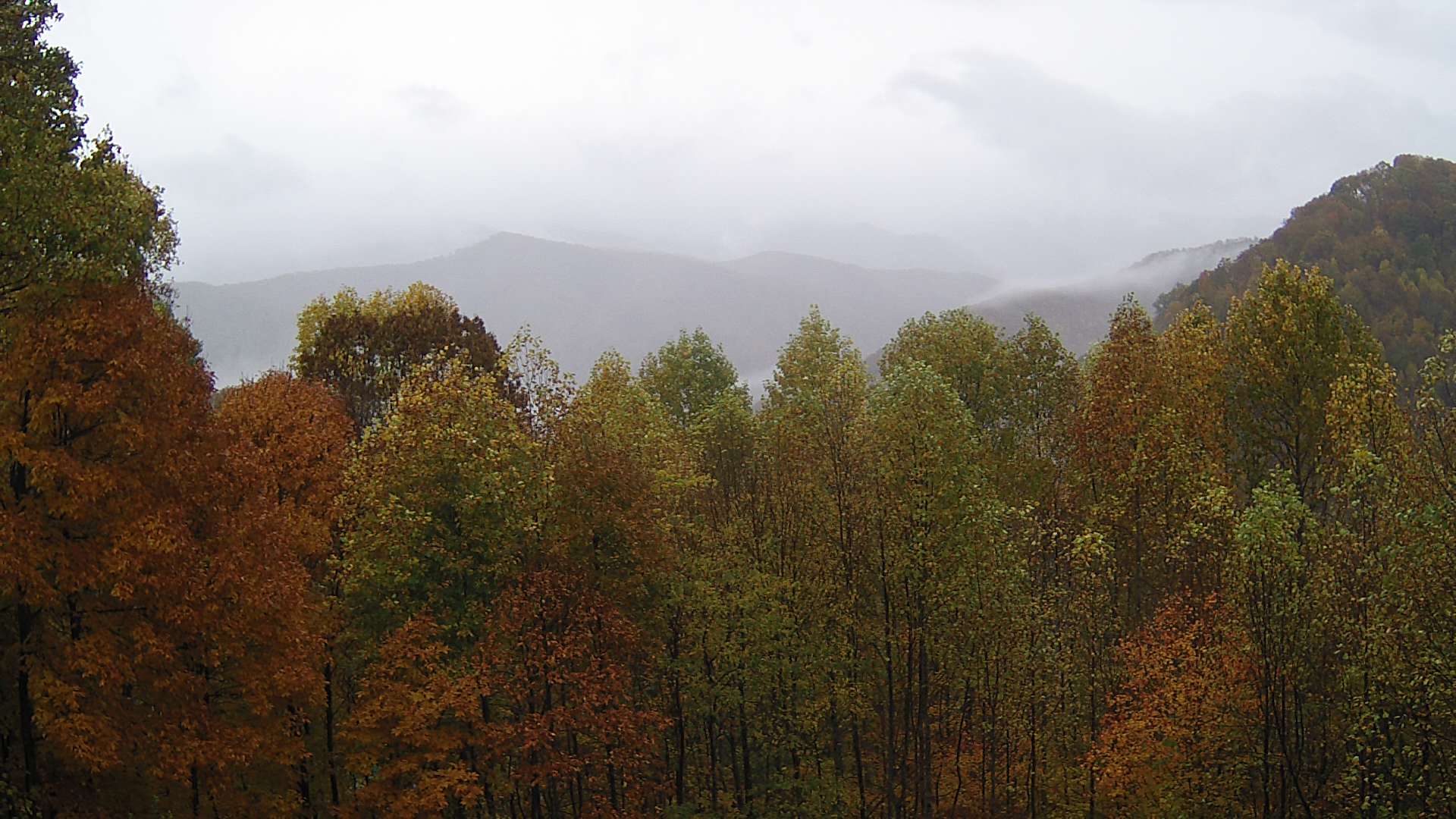 click for next image... slideshow image