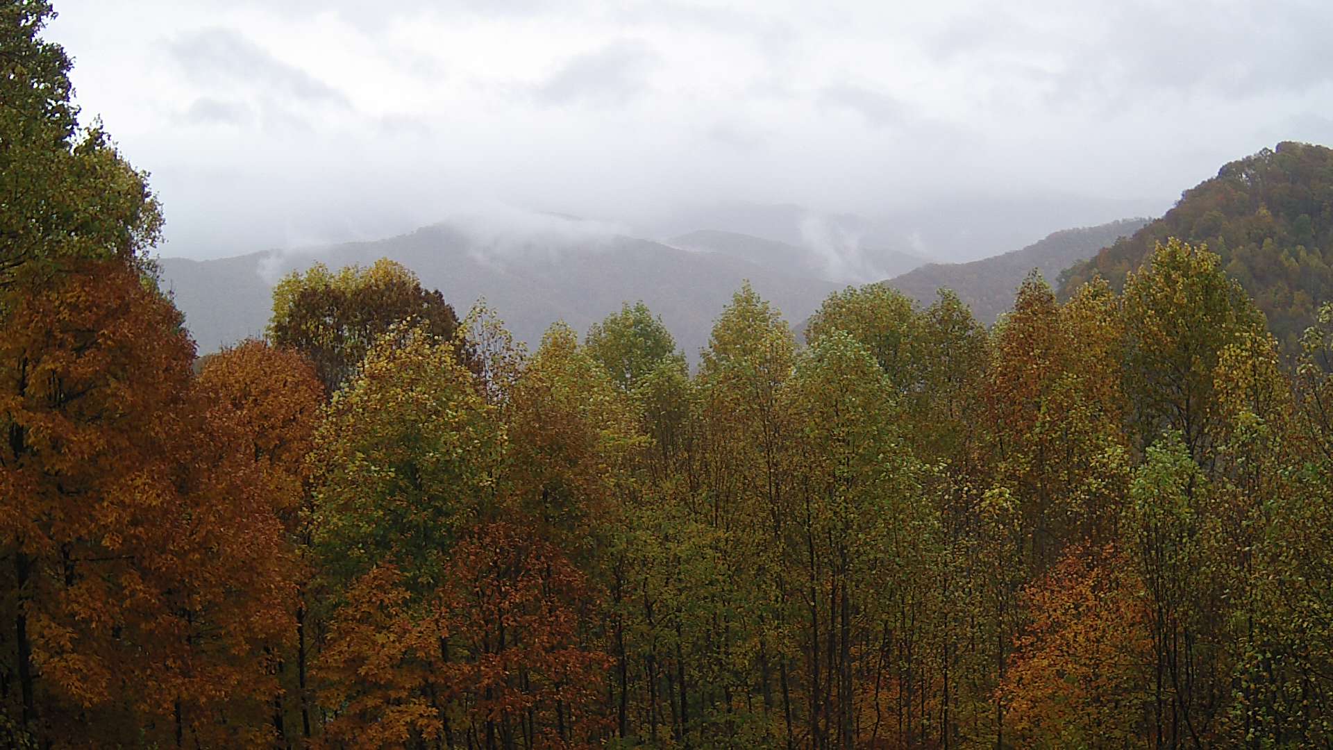 click for next image... slideshow image