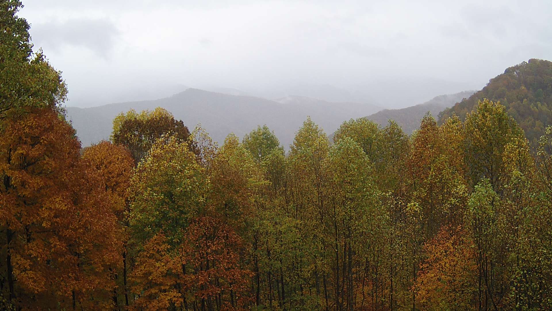 click for next image... slideshow image