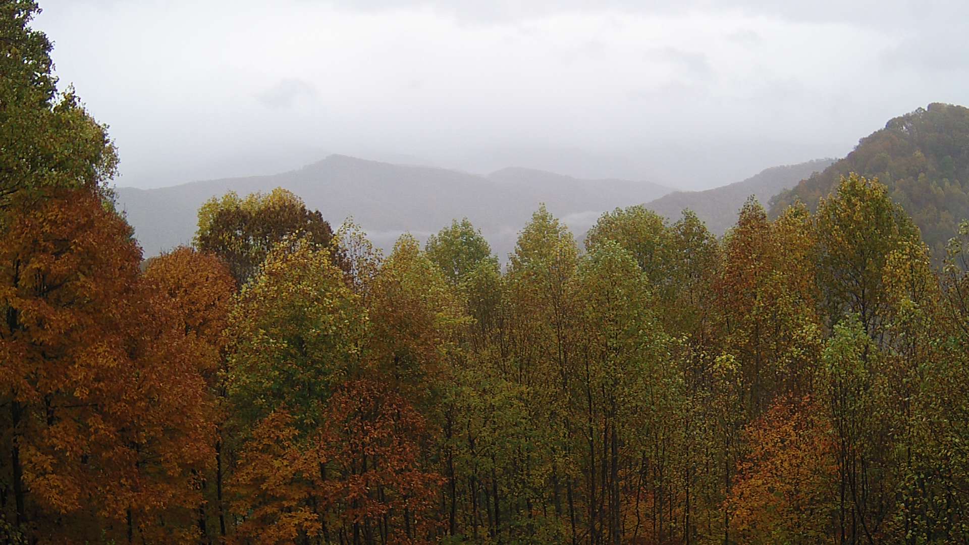 click for next image... slideshow image