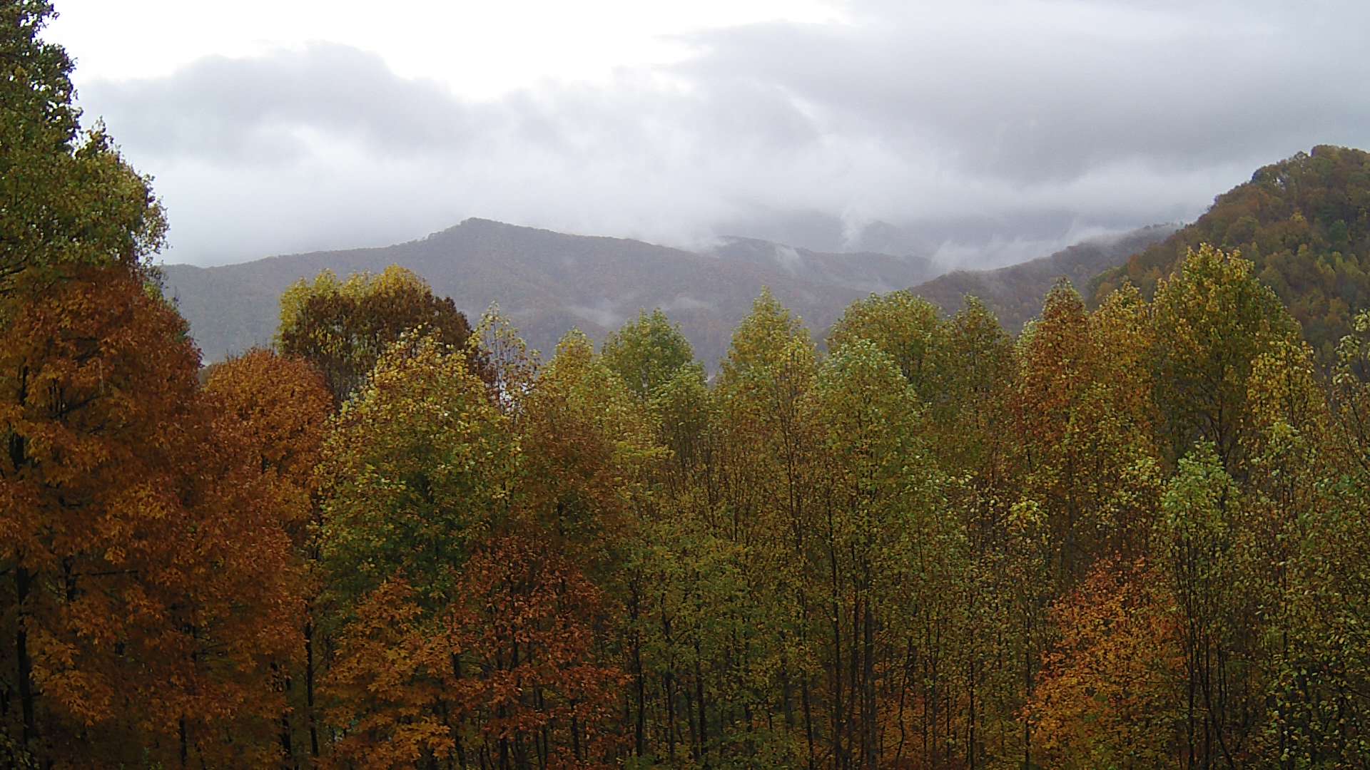 click for next image... slideshow image