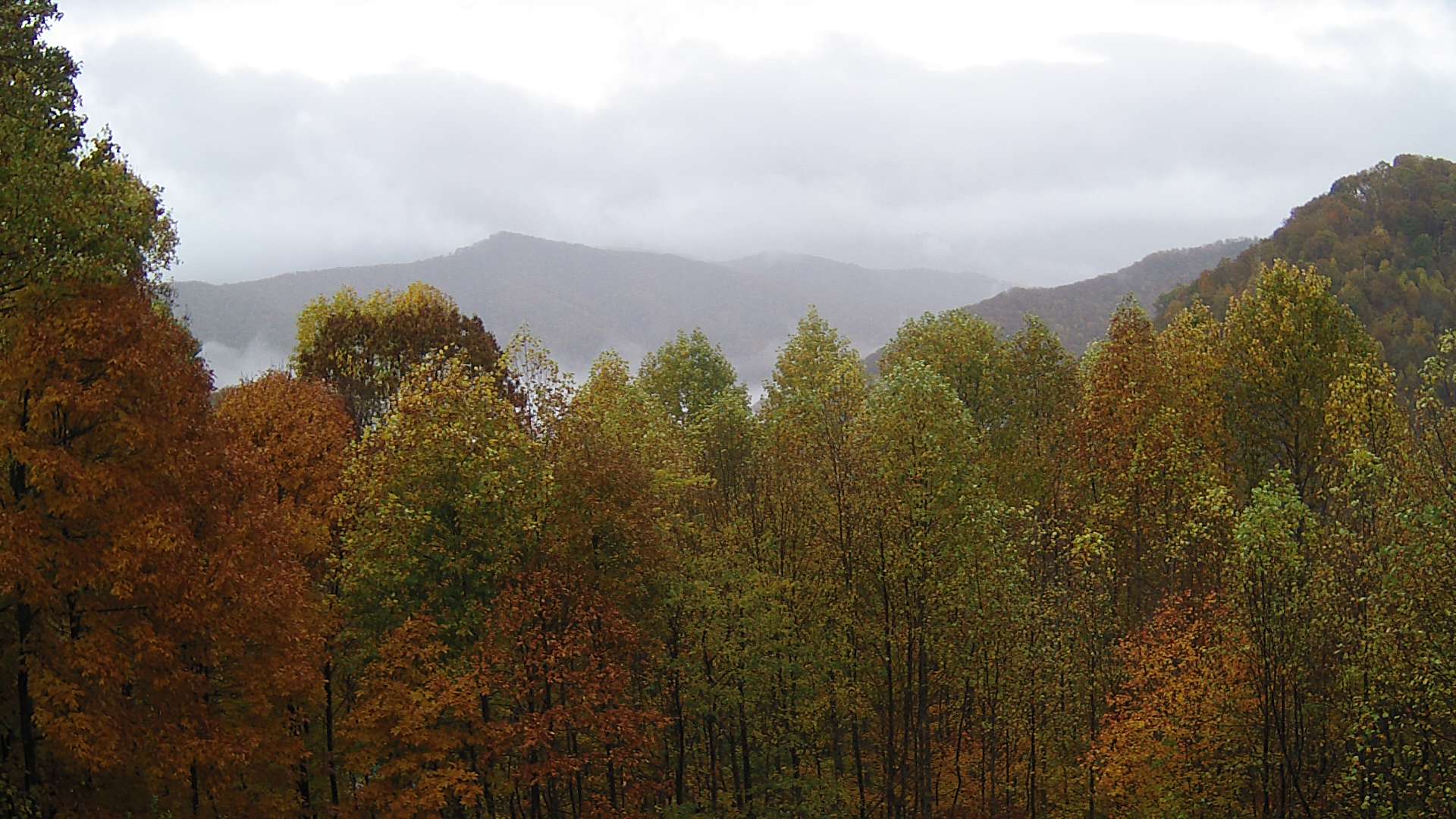 click for next image... slideshow image