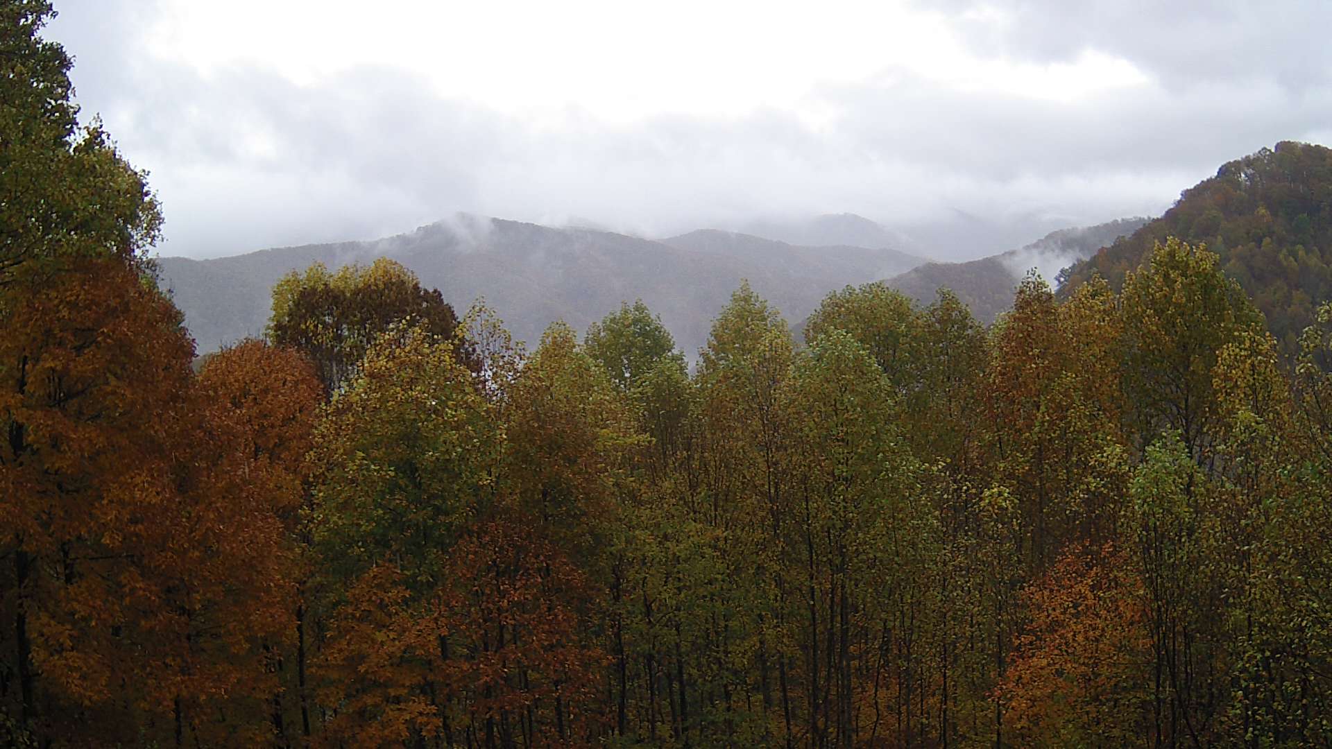 click for next image... slideshow image