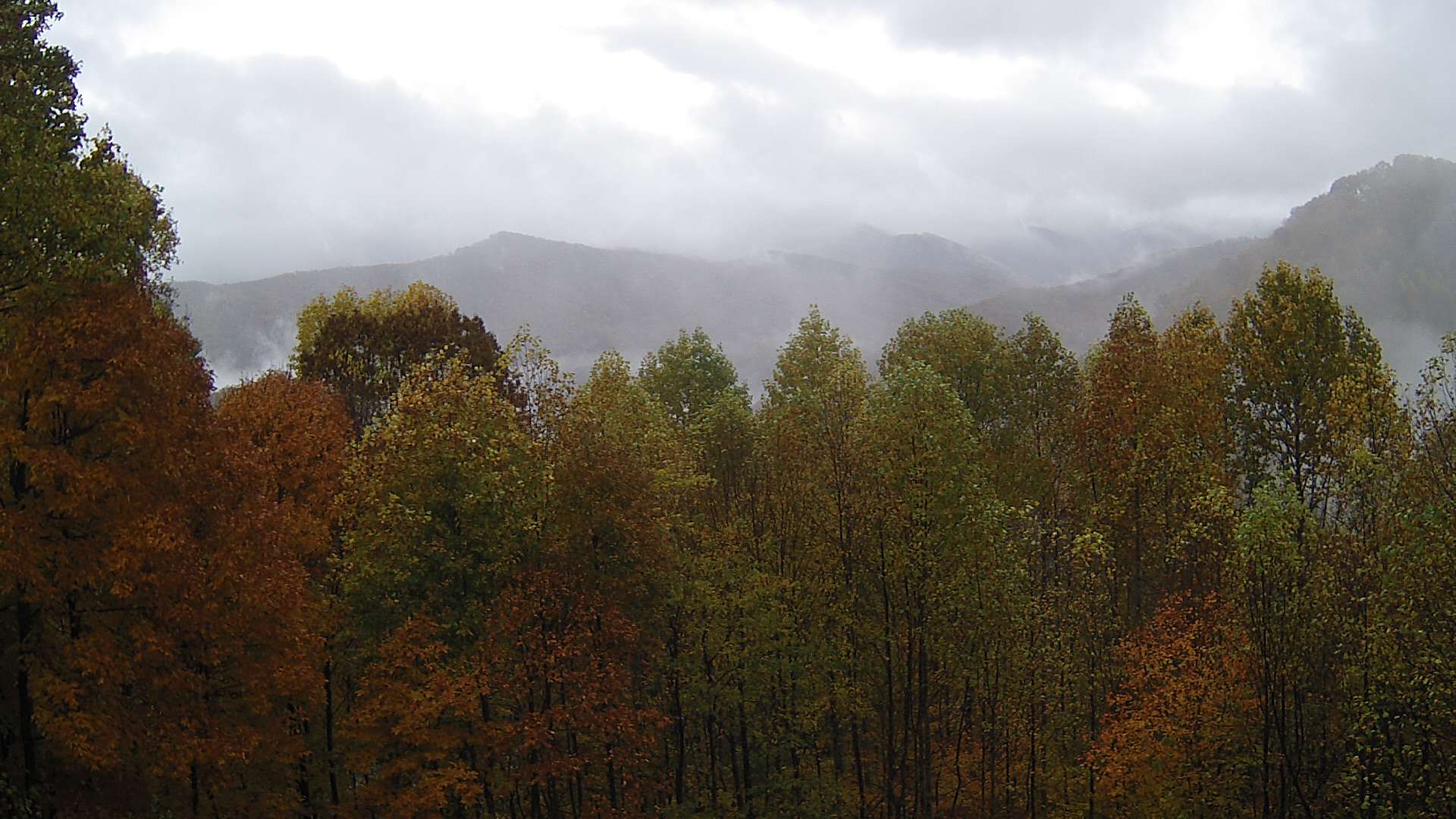 click for next image... slideshow image