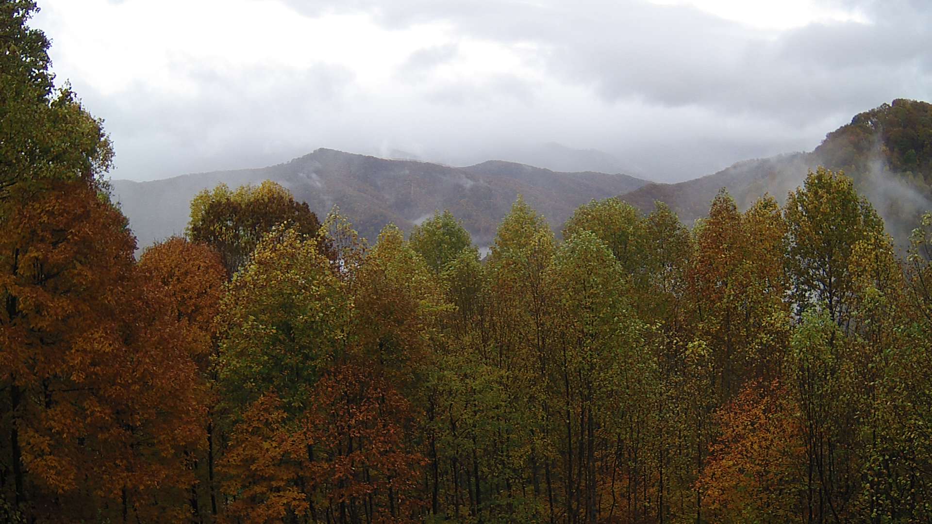 click for next image... slideshow image