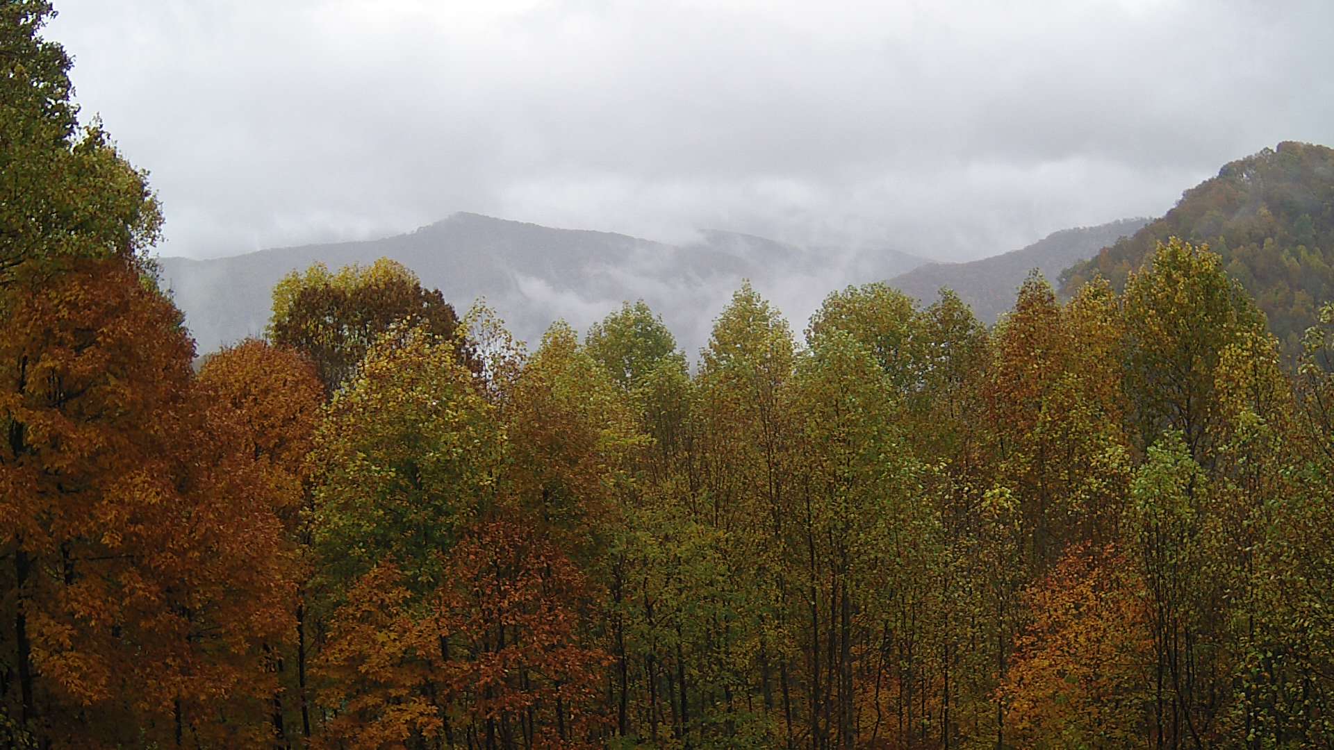 click for next image... slideshow image