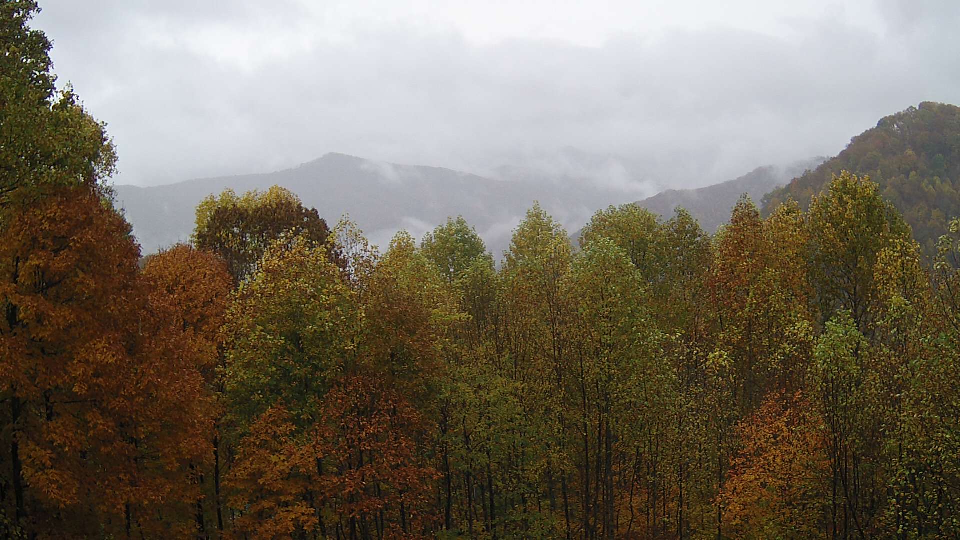 click for next image... slideshow image