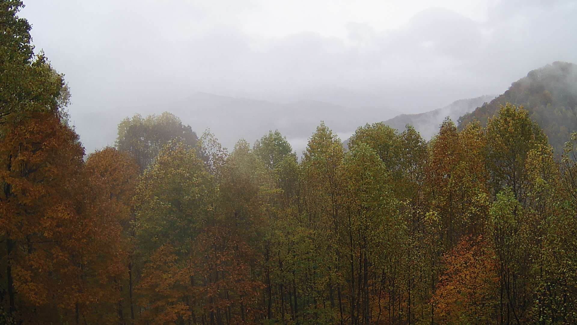 click for next image... slideshow image