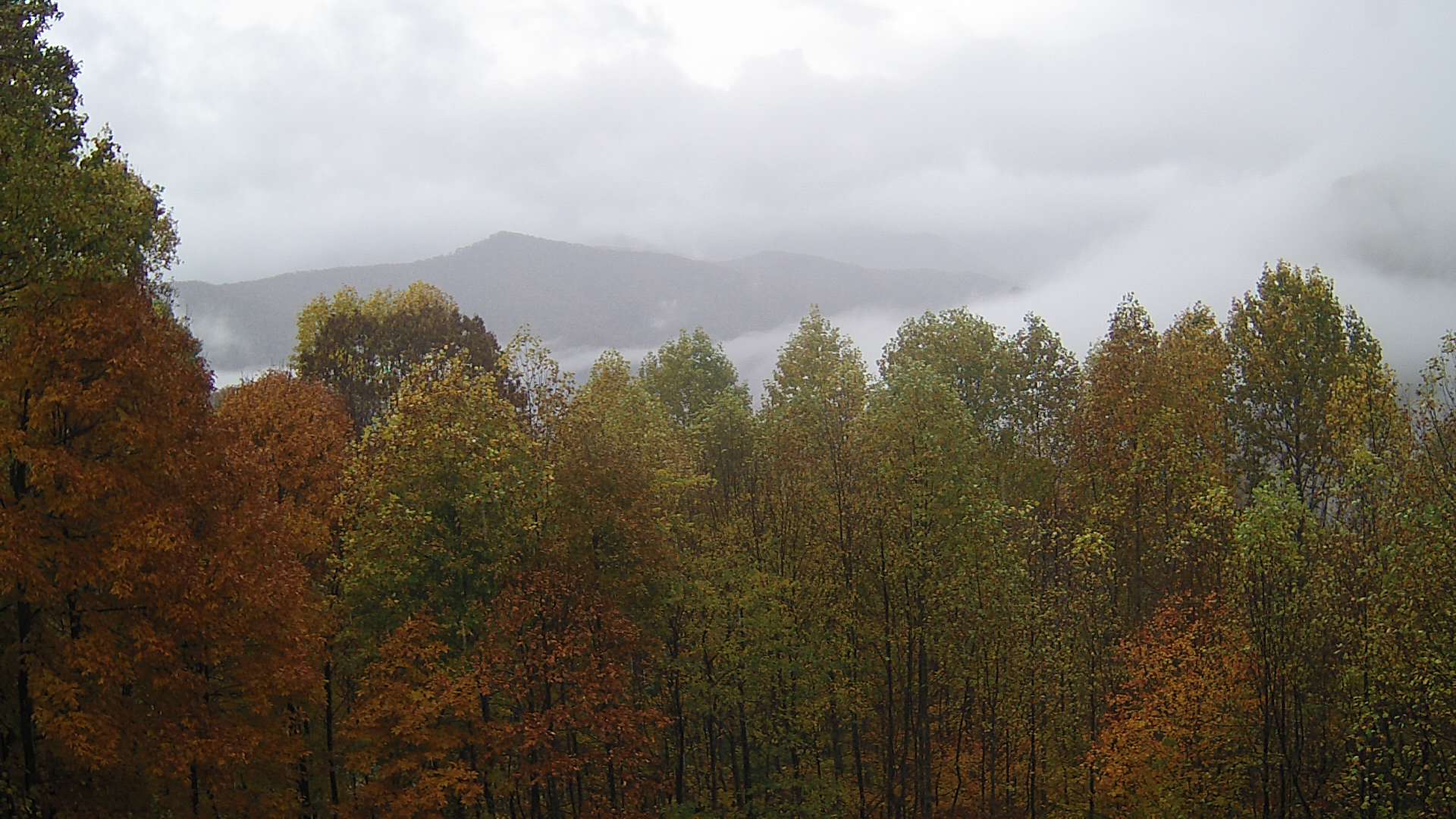 click for next image... slideshow image