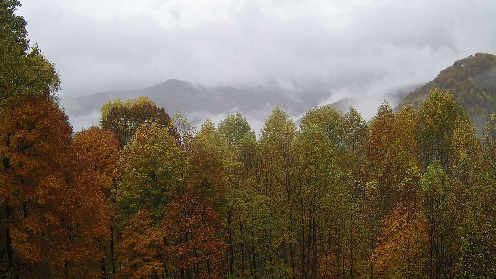 click for next image... slideshow image