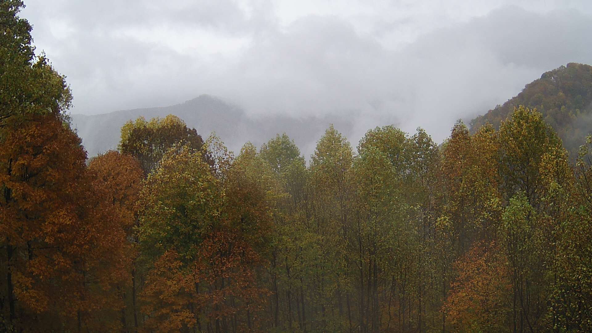 click for next image... slideshow image