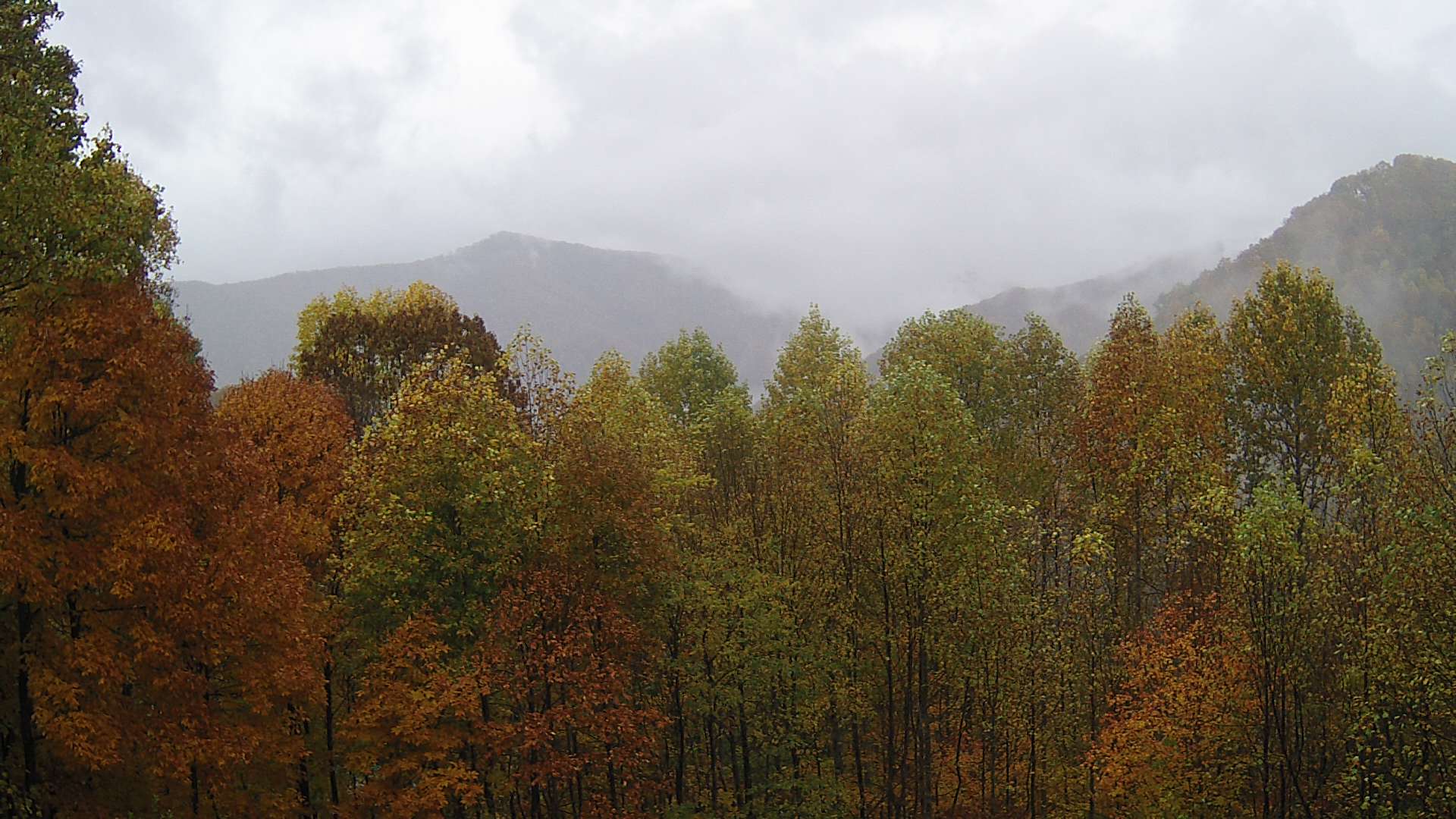 click for next image... slideshow image