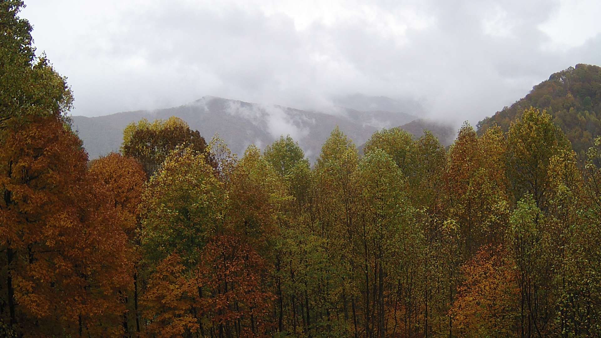 click for next image... slideshow image