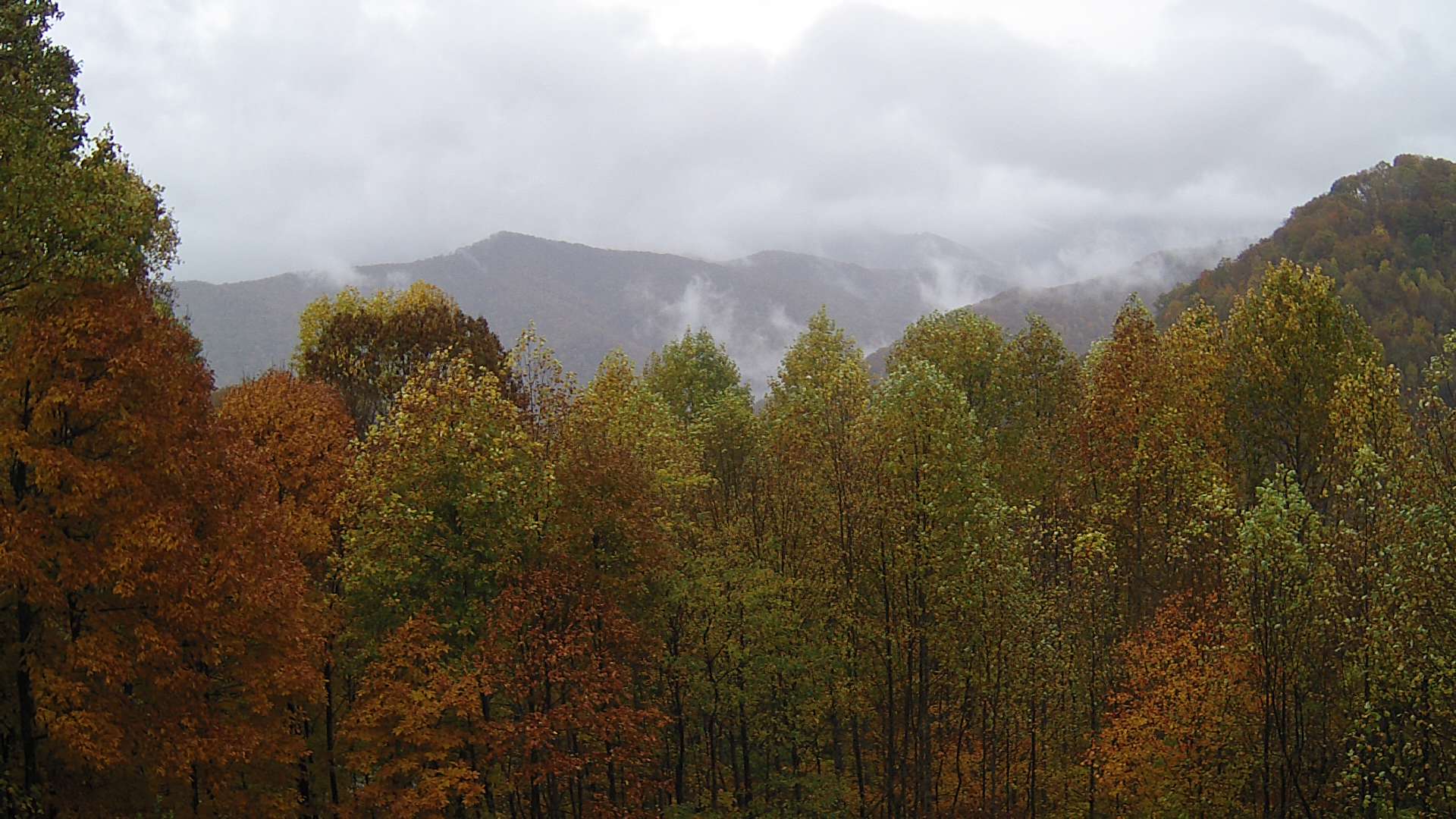 click for next image... slideshow image