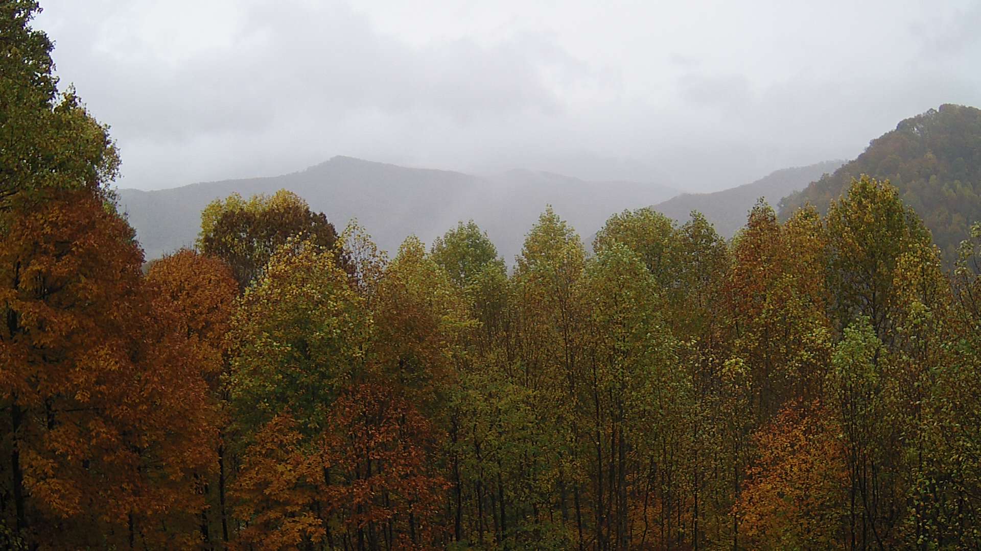 click for next image... slideshow image