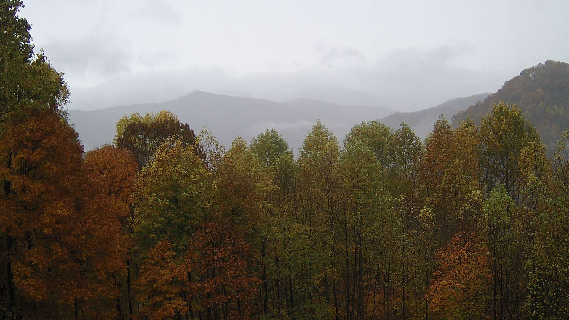 click for next image... slideshow image