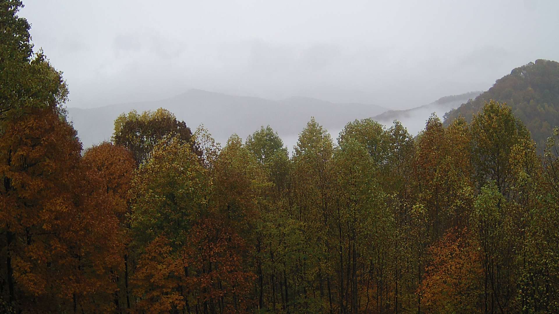 click for next image... slideshow image