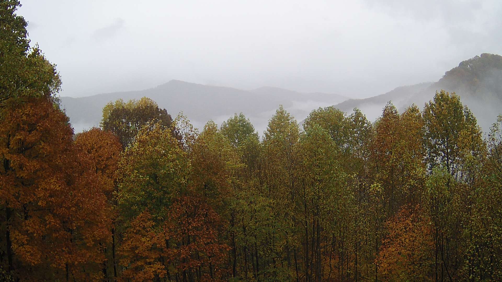 click for next image... slideshow image