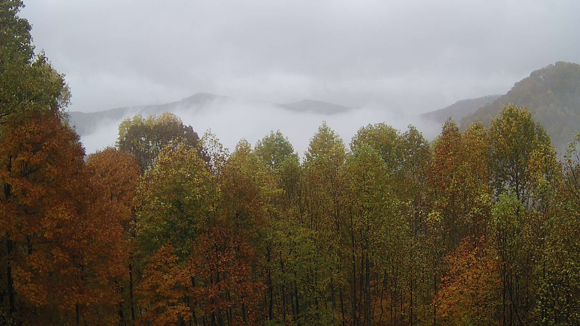 click for next image... slideshow image