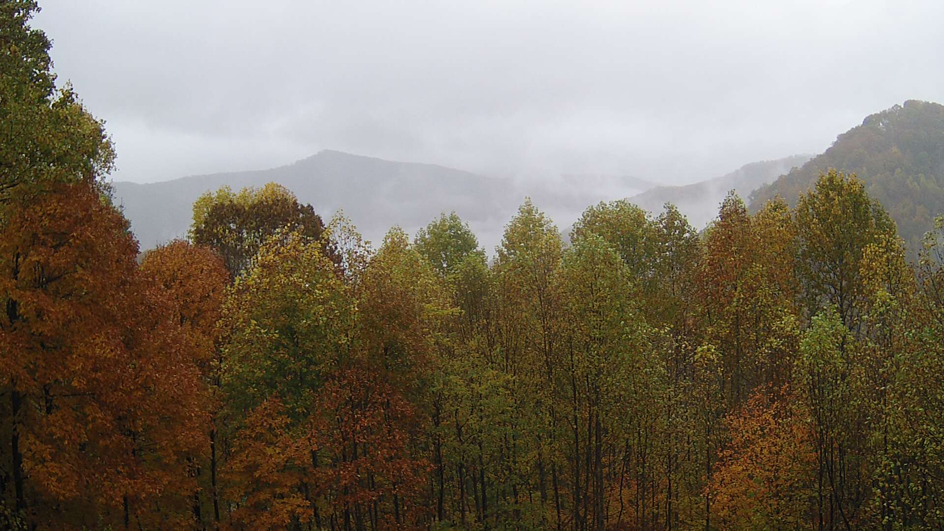 click for next image... slideshow image