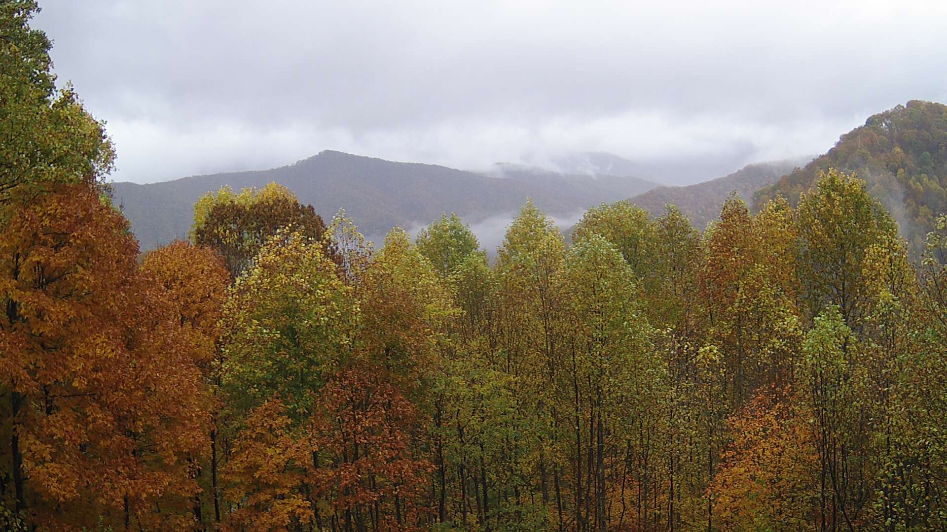 click for next image... slideshow image