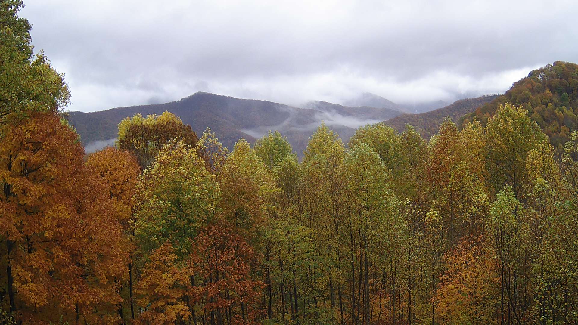 click for next image... slideshow image