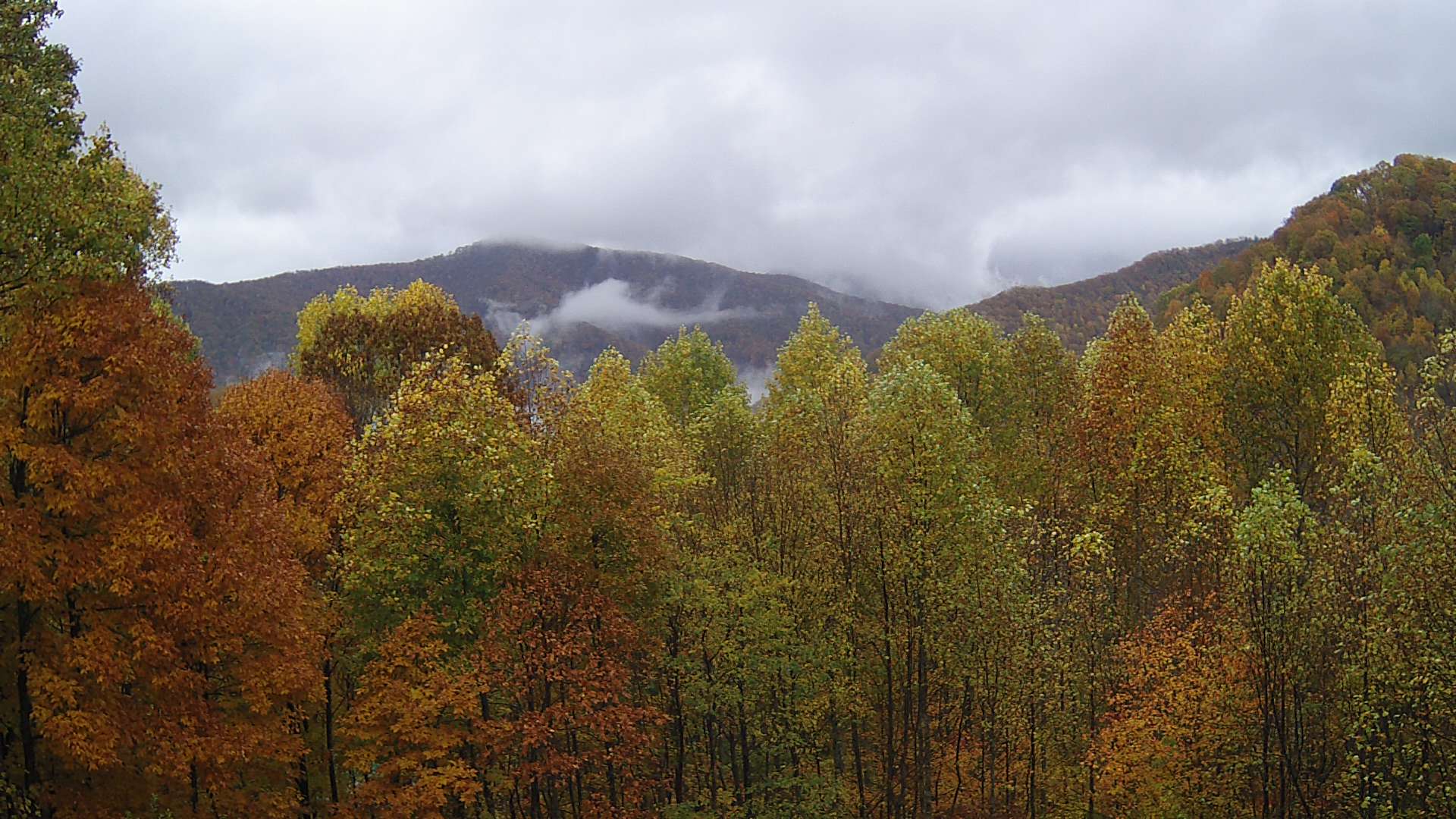 click for next image... slideshow image