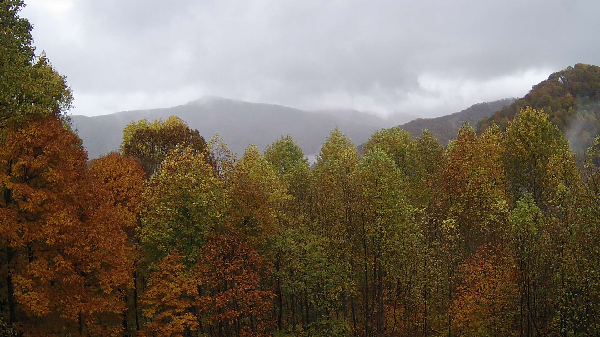 click for next image... slideshow image