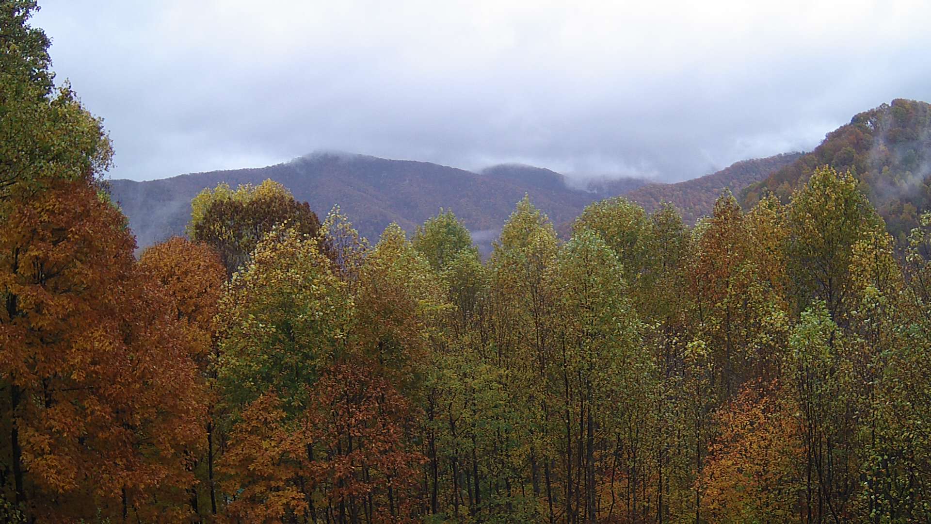 click for next image... slideshow image