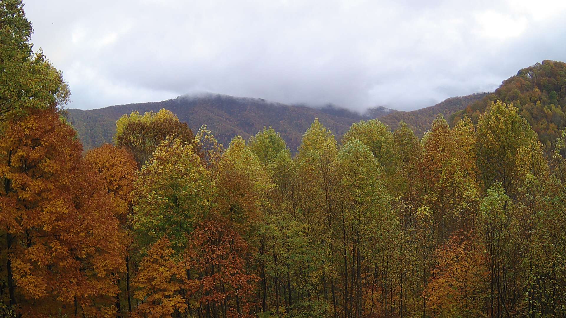 click for next image... slideshow image