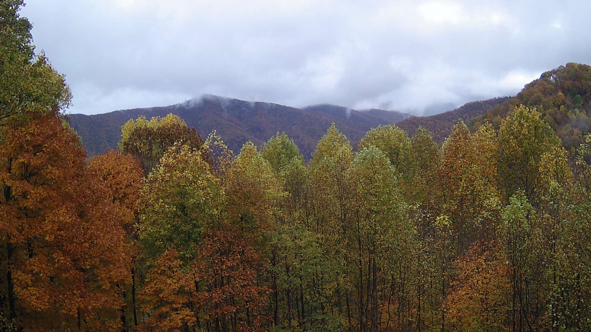 click for next image... slideshow image