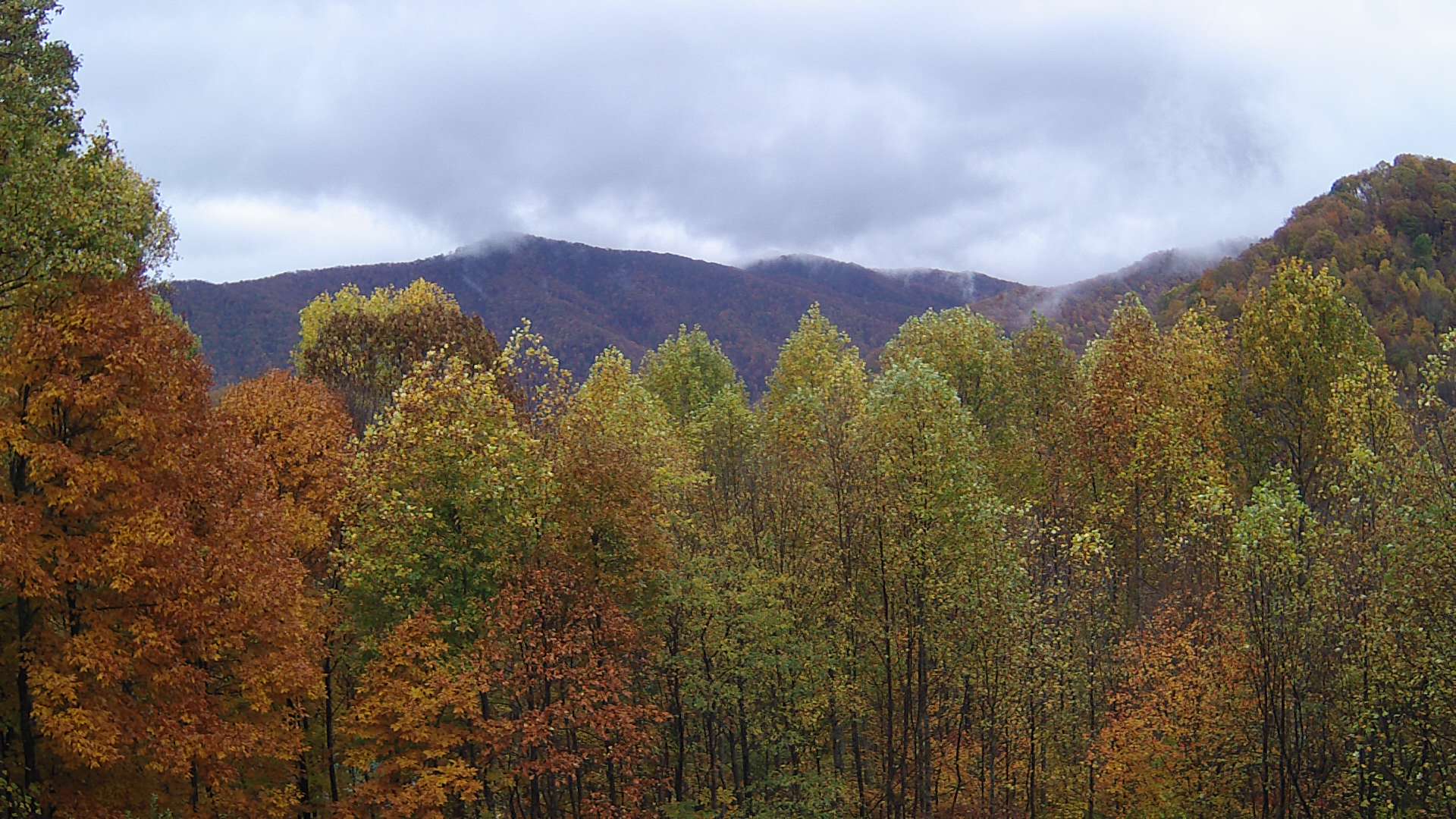 click for next image... slideshow image