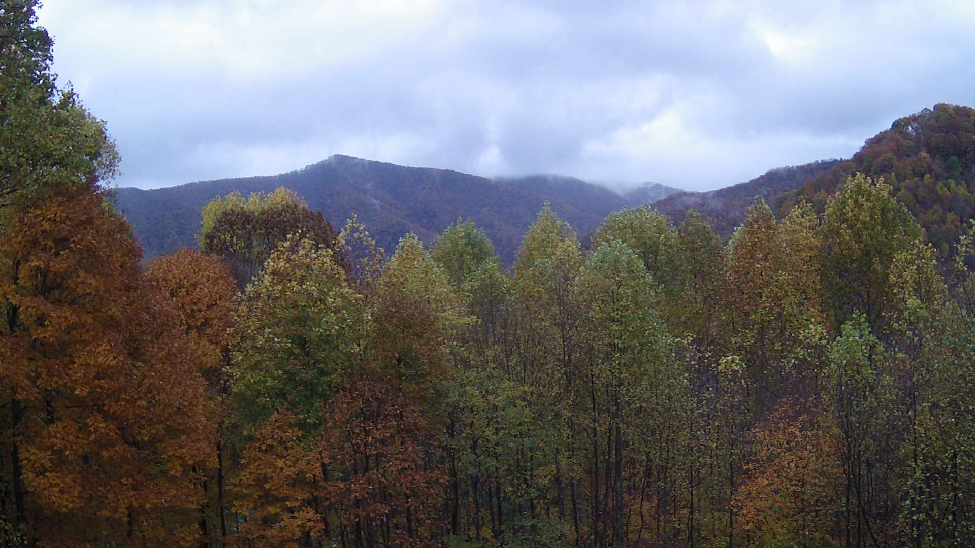 click for next image... slideshow image