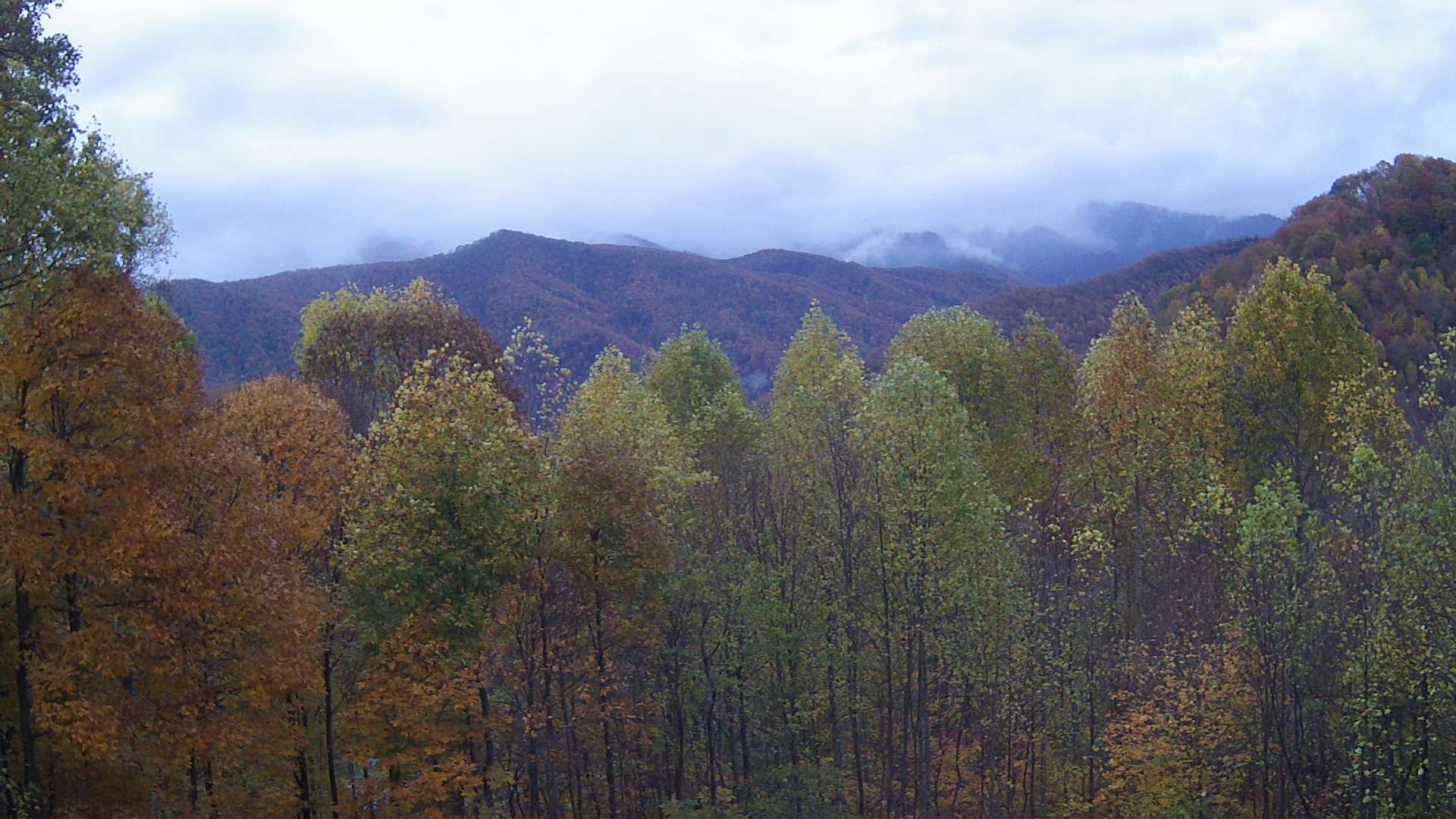 click for next image... slideshow image