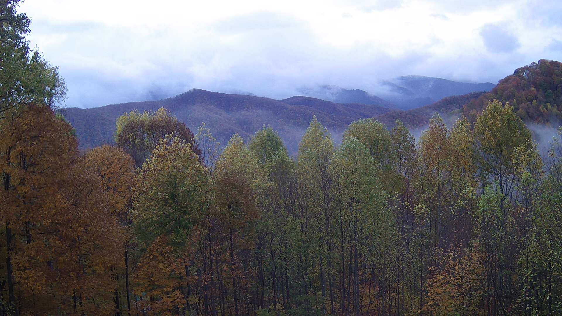 click for next image... slideshow image