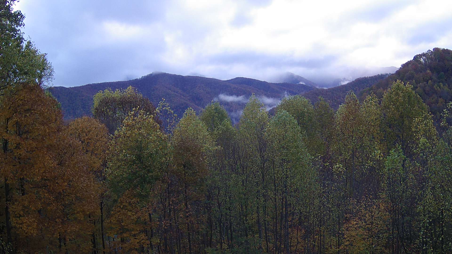 click for next image... slideshow image