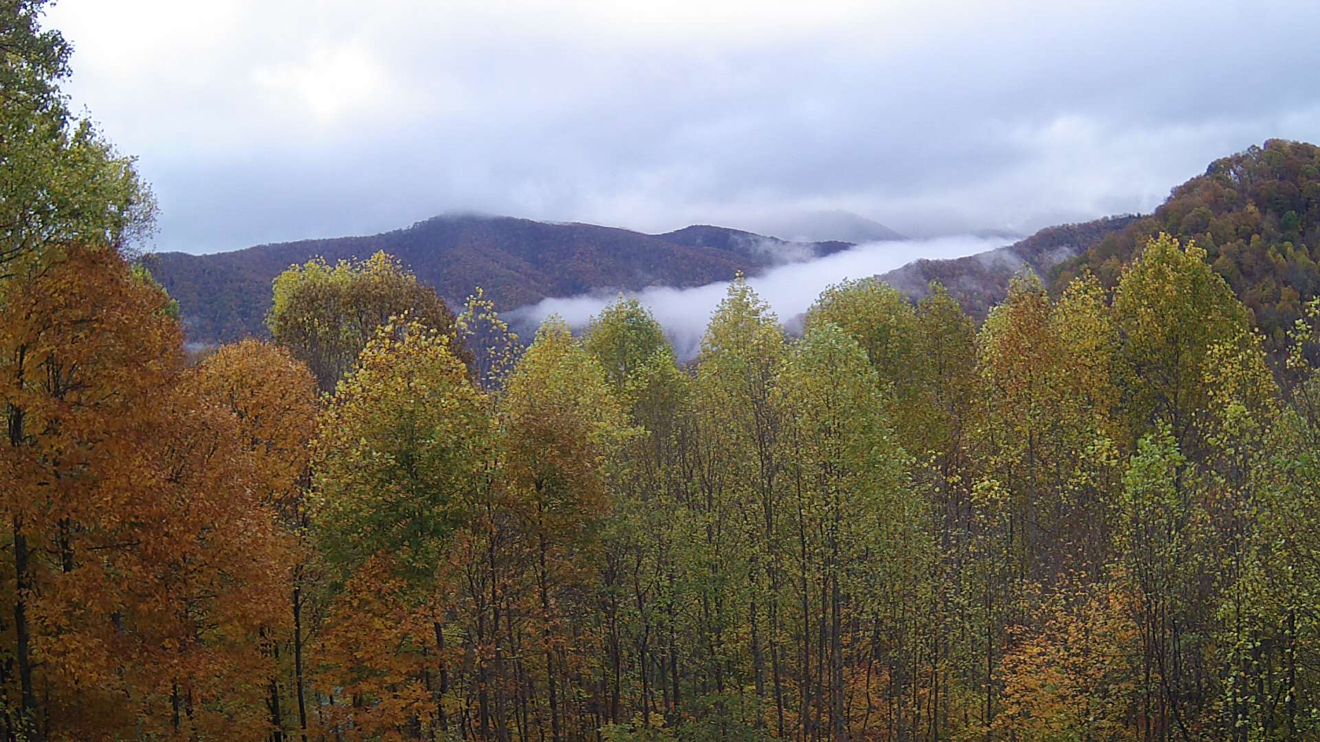 click for next image... slideshow image