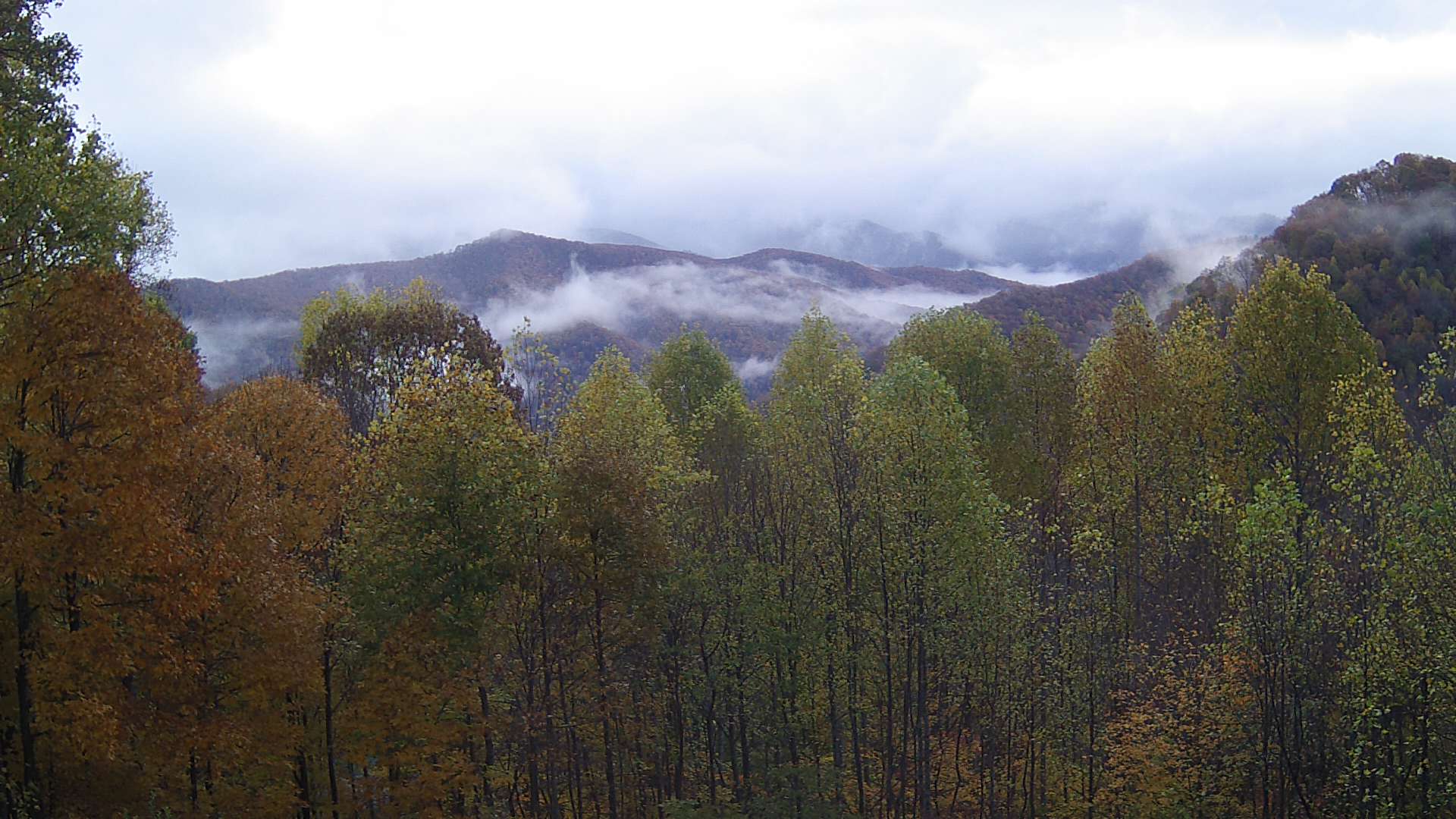 click for next image... slideshow image