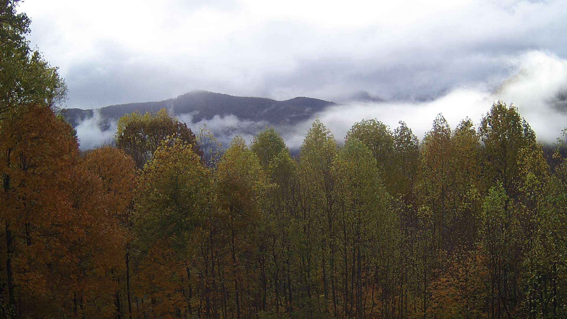 click for next image... slideshow image