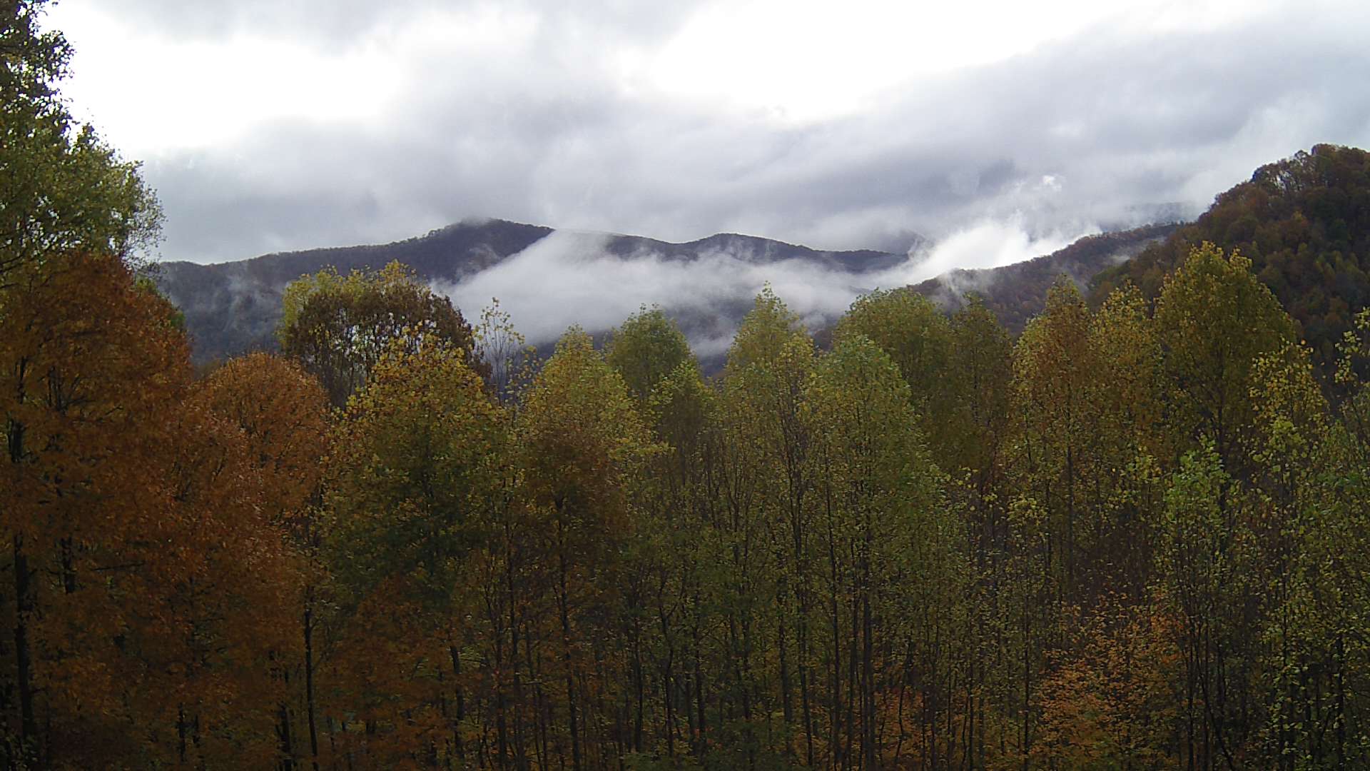 click for next image... slideshow image