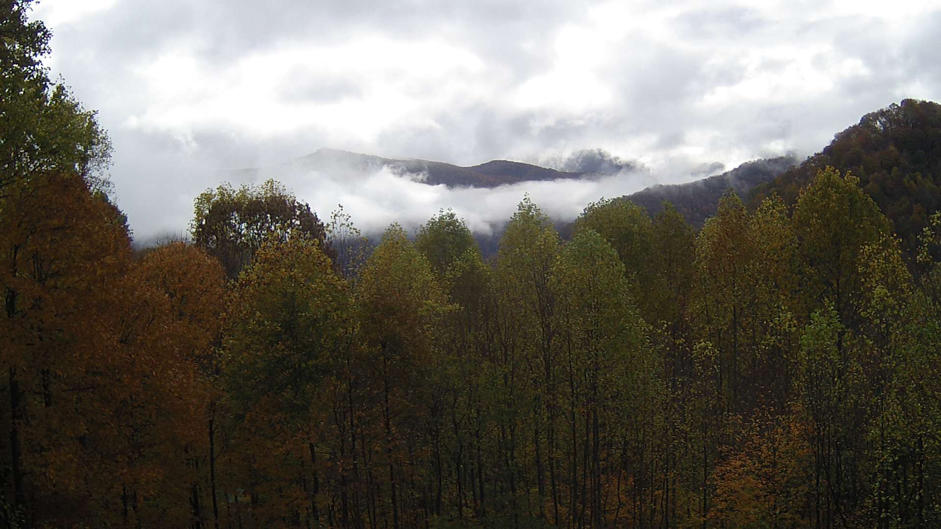 click for next image... slideshow image